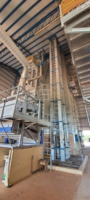 Máquina de limpeza de grãos