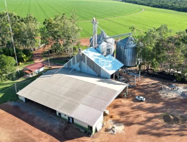 Rosca varredora para silos
